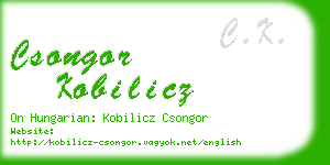 csongor kobilicz business card